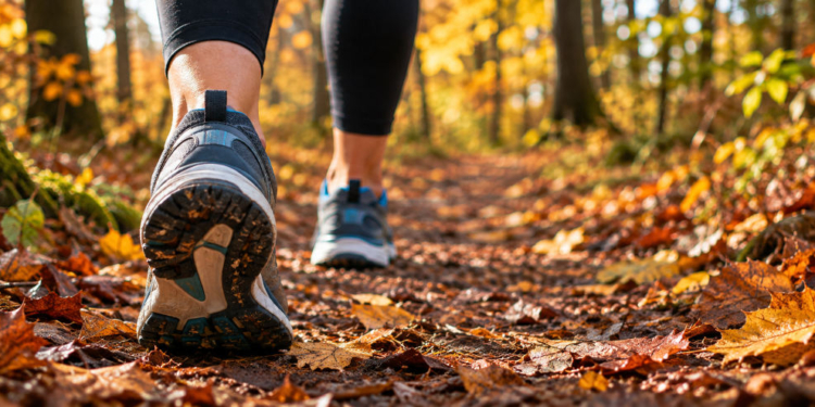 Trainingsläufe für den Ratzeburger Adventslauf