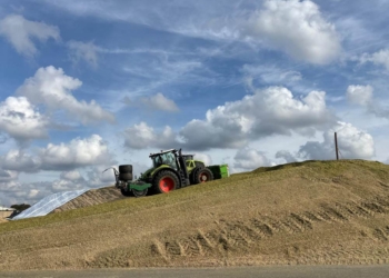 Maisernte 2026: Zwischen Fruchtfolge, Biogas und regionaler Energieversorgung