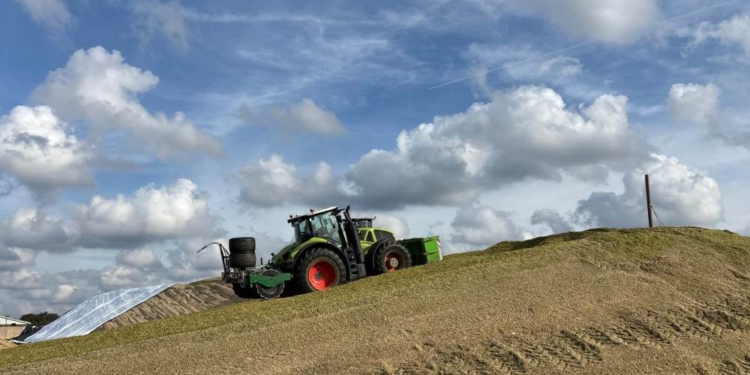 Maisernte 2026: Zwischen Fruchtfolge, Biogas und regionaler Energieversorgung