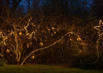 In den ‚Christmas Garden‘ mit dem LandFrauenVerein