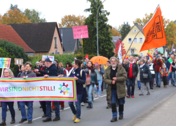 Büchen bleibt nicht still: Rund 400 Menschen demonstrieren für Demokratie und Menschenwürde